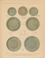 An illustration from Lung Ch'üan yao... (1889)