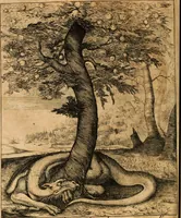 An illustration from Lusitania liberata ab injusto Castellanorum dominio : restituta legitimo principi serenissimo Joanni IV (1645)