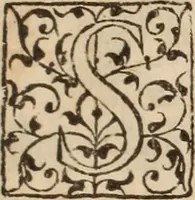 Picture 39 of 41 from Lusitania liberata ab injusto Castellanorum dominio : restituta legitimo principi serenissimo Joanni IV (1645), leaf 828