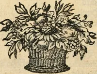 Picture 12 of 12 from Lutheri Catechismus : ofwersatt på American-Virginiske språket (1696), leaf 183