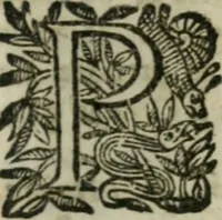 An illustration from Lutrigot, poëme heroï-comique (1696)