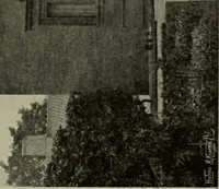 An illustration from Lutyens houses and gardens (1921)