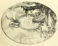 An illustration from L'uvre de Delafosse : série D (1900)