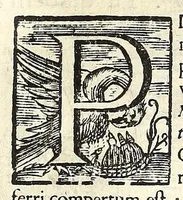 An illustration from Lux evangelica sub velum sacrorum emblematum recondita in anni dominicas : selecta historia & morali doctrina variè adumbrata (1651)