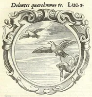 Picture 5 of 16 from Lux evangelica sub velum sacrorum emblematum recondita in anni dominicas : selecta historia & morali doctrina variè adumbrata (1651), leaf 69