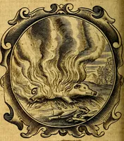 An illustration from Lux evangelica sub velum sacrorum emblematum recondita in anni dominicas, selecta historia & morali doctrina varie adumbrata (1655)