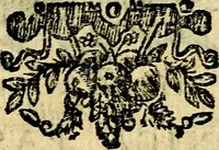 An illustration from Lux evangelica sub velum sacrorum emblematum recondita in anni dominicas, selecta historia & morali doctrina varie adumbrata (1655)