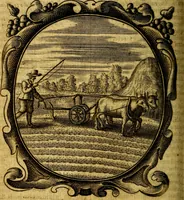 An illustration from Lux evangelica sub velum sacrorum emblematum recondita in anni dominicas, selecta historia & morali doctrina varie adumbrata (1655)