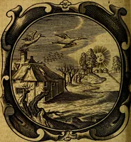 Picture 22 of 72 from Lux evangelica sub velum sacrorum emblematum recondita in anni dominicas, selecta historia & morali doctrina varie adumbrata (1655), leaf 255