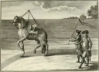 An illustration from Luz da liberal, e nobre arte da cavallaria : offerecida ao Senhor D. João, principe do Brazil (1790)