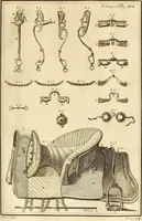 An illustration from Luz da liberal, e nobre arte da cavallaria : offerecida ao Senhor D. João, principe do Brazil (1790)