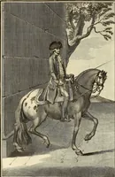 An illustration from Luz da liberal, e nobre arte da cavallaria : offerecida ao Senhor D. João, principe do Brazil (1790)