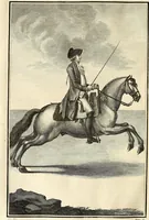 An illustration from Luz da liberal, e nobre arte da cavallaria : offerecida ao Senhor D. João, principe do Brazil (1790)