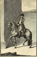 An illustration from Luz da liberal, e nobre arte da cavallaria : offerecida ao Senhor D. João, principe do Brazil (1790)