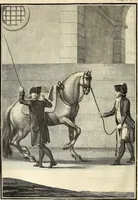 An illustration from Luz da liberal, e nobre arte da cavallaria : offerecida ao Senhor D. João, principe do Brazil (1790)