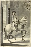 An illustration from Luz da liberal, e nobre arte da cavallaria : offerecida ao Senhor D. João, principe do Brazil (1790)