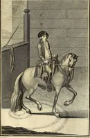 An illustration from Luz da liberal, e nobre arte da cavallaria : offerecida ao Senhor D. João, principe do Brazil (1790)