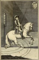 An illustration from Luz da liberal, e nobre arte da cavallaria : offerecida ao Senhor D. João, principe do Brazil (1790)