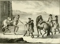 An illustration from Luz da liberal, e nobre arte da cavallaria : offerecida ao Senhor D. João, principe do Brazil (1790)