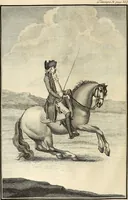 An illustration from Luz da liberal, e nobre arte da cavallaria : offerecida ao Senhor D. João, principe do Brazil (1790)