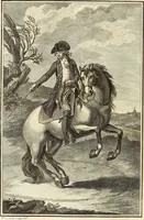An illustration from Luz da liberal, e nobre arte da cavallaria : offerecida ao Senhor D. João, principe do Brazil (1790)