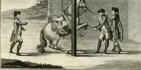 An illustration from Luz da liberal, e nobre arte da cavallaria : offerecida ao Senhor D. João, principe do Brazil (1790)