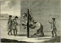An illustration from Luz da liberal, e nobre arte da cavallaria : offerecida ao Senhor D. João, principe do Brazil (1790)