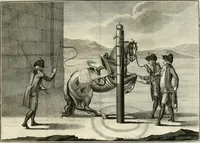 An illustration from Luz da liberal, e nobre arte da cavallaria : offerecida ao Senhor D. João, principe do Brazil (1790)