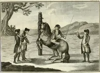 An illustration from Luz da liberal, e nobre arte da cavallaria : offerecida ao Senhor D. João, principe do Brazil (1790)