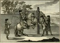 An illustration from Luz da liberal, e nobre arte da cavallaria : offerecida ao Senhor D. João, principe do Brazil (1790)