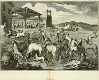 An illustration from Luz da liberal, e nobre arte da cavallaria : offerecida ao Senhor D. João, principe do Brazil (1790)