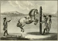An illustration from Luz da liberal, e nobre arte da cavallaria : offerecida ao Senhor D. João, principe do Brazil (1790)