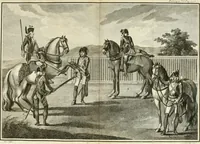 An illustration from Luz da liberal, e nobre arte da cavallaria : offerecida ao Senhor D. João, principe do Brazil (1790)