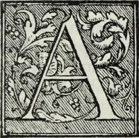 Picture 7 of 37 from Lvcae Paeti ivrisconsvl. De mensvribus et ponderibvs romanis et graecis : cum his qvae hodie Romae svnt collatis libri qvinqve : eivsdem variarvm lectionvm liber vnvs (1573), leaf 34