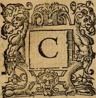 An illustration from Lvdovici Demontiosii Gallvs Romae hospes : vbi multa antiquorum monimenta explicantur, pars pristinae formae restituuntur : opus in quinque partes tributum (1585)