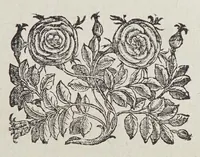 An illustration from L'vniuersale fabrica del mondo, ouera Cosmografia (1596)