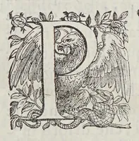 An illustration from L'vniuersale fabrica del mondo, ouera Cosmografia (1596)