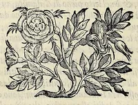 An illustration from L'vniversale fabrica del mondo, overo Cosmografia dell'ecc. Gio. Lorenzo d'Anania, diuisa in quattro trattati ... Di nuouo ornata con le figure delle quattro parti del mondo in rame: et dal medesimo auttore con infinite aggiuntioni per ogni parte dell' opera ampliata .. (1596)