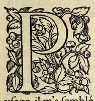 Picture 5 of 28 from L'vsage de l'astrolabe, : avec vn petit traicté de la sphere, (1559), leaf 23