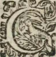 An illustration from L'vsage de l'vn et l'avtre astrolabe particvlier et vniversel. Expliqué tant en la declaration de leurs parties, qu'exposition fidelle & facile de leur practique en astronomie & geometrie (1625)