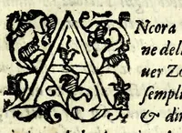 An illustration from L'vso della squadra mobile : con la quale per teorica, & pratica si misura geometricamente ogni distanza, altezza, e profondità : s'impara à perticare, liuellare, et pigliare in disegno le città, paesi, et prouincie : il tutto con le sue dimostrationi intagliate in rame (1615)
