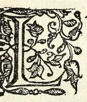 An illustration from L'vso della squadra mobile : con la quale per teorica, & pratica si misura geometricamente ogni distanza, altezza, e profondità : s'impara à perticare, liuellare, et pigliare in disegno le città, paesi, et prouincie : il tutto con le sue dimostrationi intagliate in rame (1615)