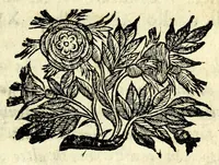An illustration from L'vso della squadra mobile : con la quale per teorica, & pratica si misura geometricamente ogni distanza, altezza, e profondità : s'impara à perticare, liuellare, et pigliare in disegno le città, paesi, et prouincie : il tutto con le sue dimostrationi intagliate in rame (1615)