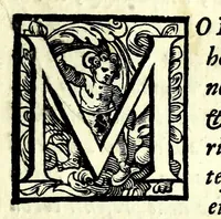 An illustration from L'vso del la sqvadra mobile. Con la qvale per teorica et per pratica si misura geometricamente ogni distanza, altezza, e profondità, s'impara a perticare, liuellare, et piglare in disegno le città, paesi, et prouincie. Il tutto con le sue dimostrationi intagliate in rame (1598)