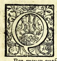 An illustration from L'vso del la sqvadra mobile. Con la qvale per teorica et per pratica si misura geometricamente ogni distanza, altezza, e profondità, s'impara a perticare, liuellare, et piglare in disegno le città, paesi, et prouincie. Il tutto con le sue dimostrationi intagliate in rame (1598)