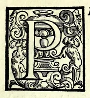 An illustration from L'vso del la sqvadra mobile. Con la qvale per teorica et per pratica si misura geometricamente ogni distanza, altezza, e profondità, s'impara a perticare, liuellare, et piglare in disegno le città, paesi, et prouincie. Il tutto con le sue dimostrationi intagliate in rame (1598)