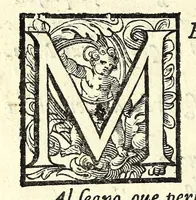 Picture 7 of 31 from L'vso del la sqvadra mobile. Con la qvale per teorica et per pratica si misura geometricamente ogni distanza, altezza, e profondità, s'impara a perticare, liuellare, et piglare in disegno le città, paesi, et prouincie. Il tutto con le sue dimostrationi intagliate in rame (1598), leaf 16