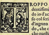 Picture 9 of 31 from L'vso del la sqvadra mobile. Con la qvale per teorica et per pratica si misura geometricamente ogni distanza, altezza, e profondità, s'impara a perticare, liuellare, et piglare in disegno le città, paesi, et prouincie. Il tutto con le sue dimostrationi intagliate in rame (1598), leaf 17