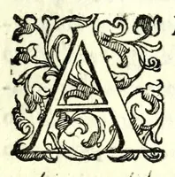 An illustration from L'vso del la sqvadra mobile. Con la qvale per teorica et per pratica si misura geometricamente ogni distanza, altezza, e profondità, s'impara a perticare, liuellare, et piglare in disegno le città, paesi, et prouincie. Il tutto con le sue dimostrationi intagliate in rame (1598)