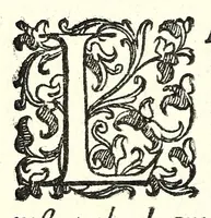 An illustration from L'vso del la sqvadra mobile. Con la qvale per teorica et per pratica si misura geometricamente ogni distanza, altezza, e profondità, s'impara a perticare, liuellare, et piglare in disegno le città, paesi, et prouincie. Il tutto con le sue dimostrationi intagliate in rame (1598)